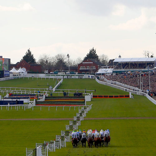 The Jumps are back, Cheltenham racecourse featured