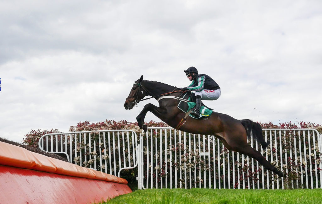 Altior Big Buck's Hurricane Fly greatest jumps racehorses