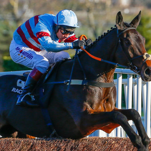 Lalor Paddy Power Gold Cup chances