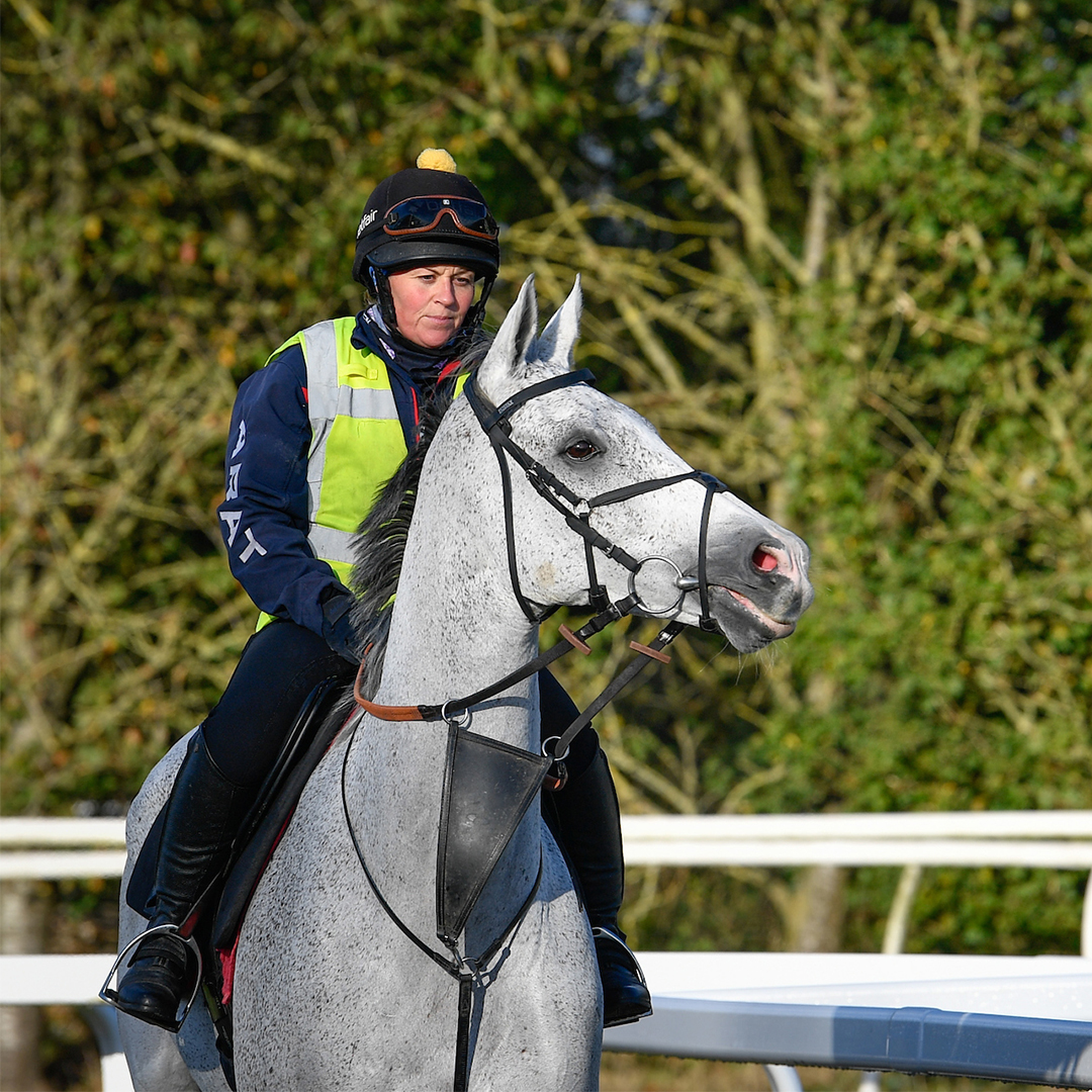 Politologue at Ditcheat