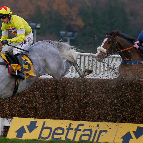 Politologue shloer chase