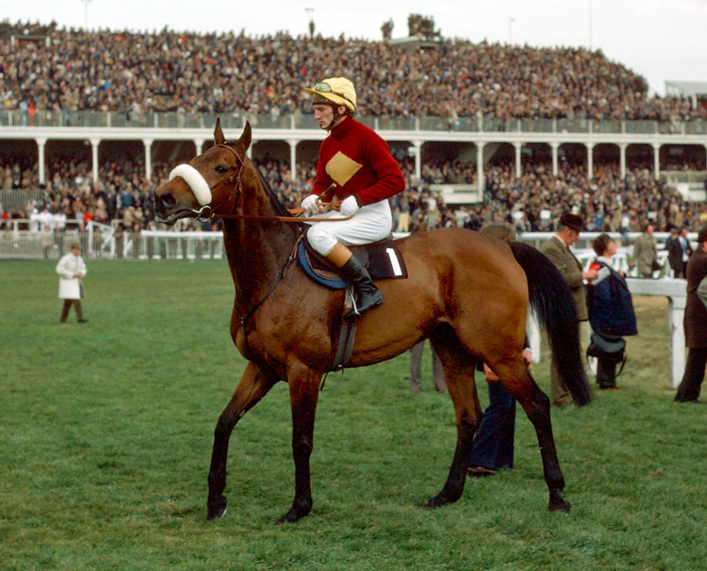 Horses for courses. Red Rum. mmy Stack before the race.
