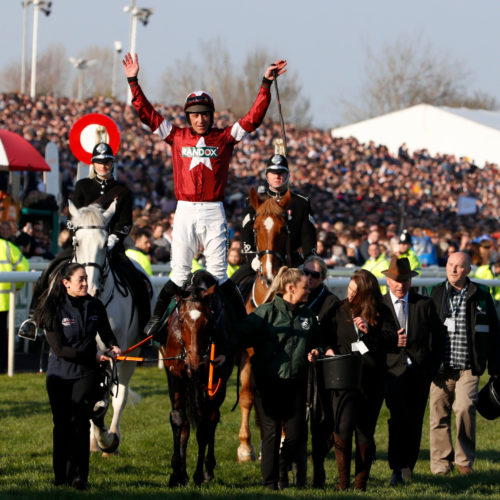 Tiger Roll greatest jumps racehorses