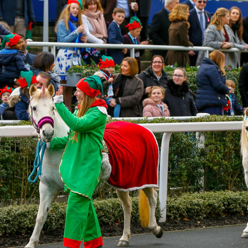 Christmas at the races - A fantastic day out