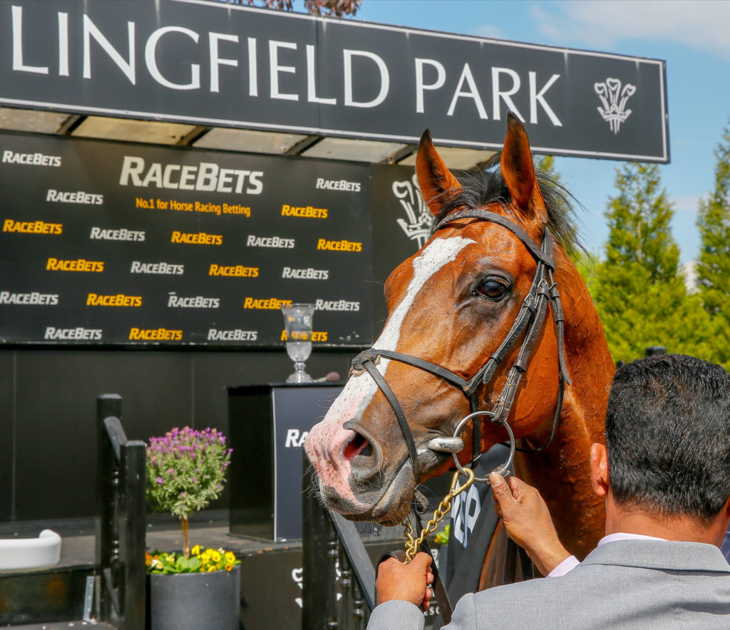 Anthony Van Dyck Lingfield Park