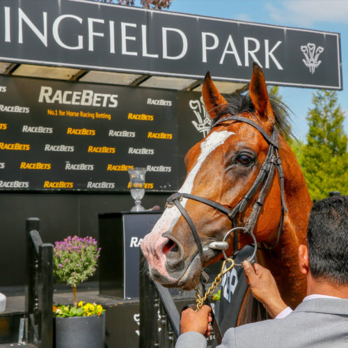 Anthony Van Dyck in front of Lingfield Park signs