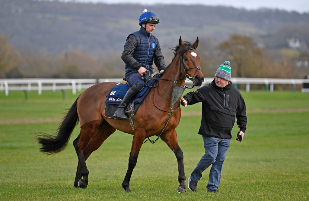 Tiger Roll Cheltenham