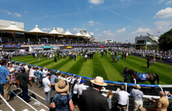Horses in the parade ring at Sandown