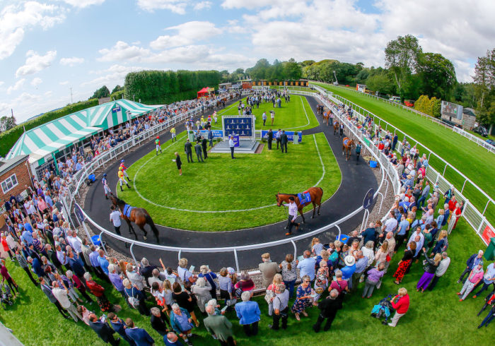 Salisbury Racource My Local Racecourse - Salisbury - Great British Racing