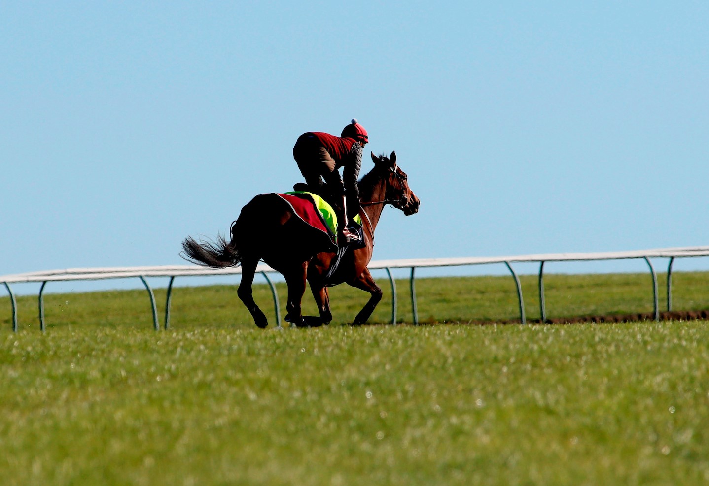 West Scotland - Visit Local Yards For National Racehorse Week - Great ...