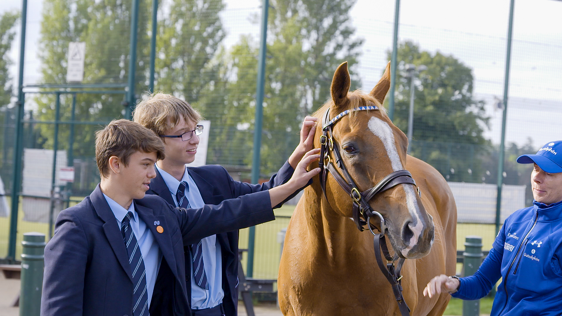 National Racehorse Week Delivers for Second Year - Great British Racing
