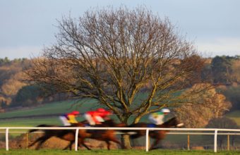 Horses a blur as they pass