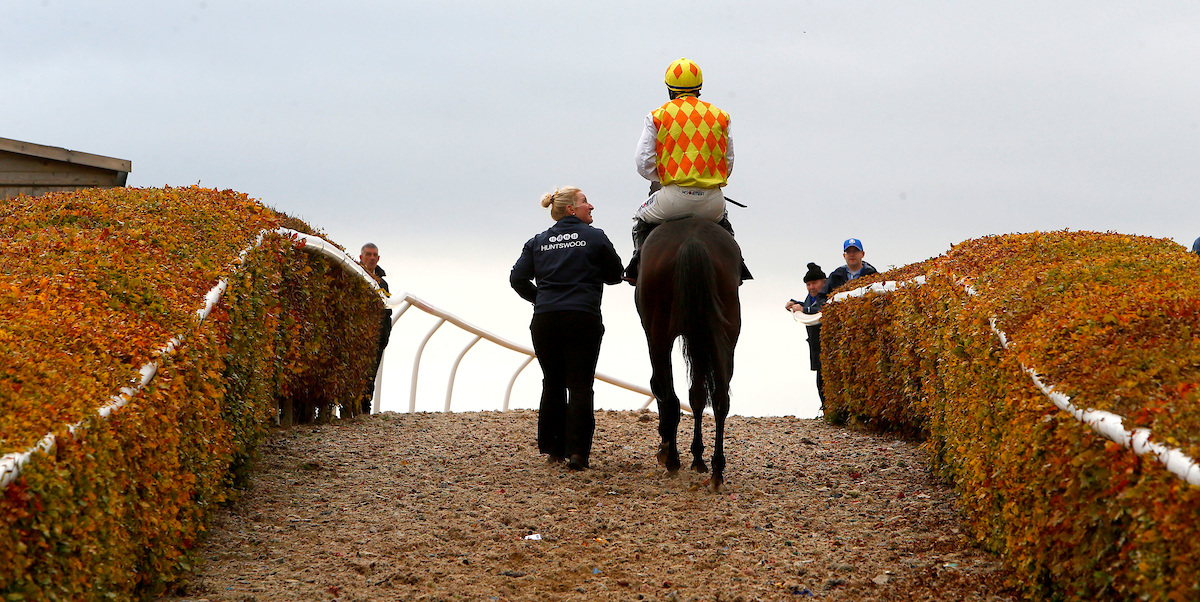 My Local Racecourse - Wetherby - Great British Racing