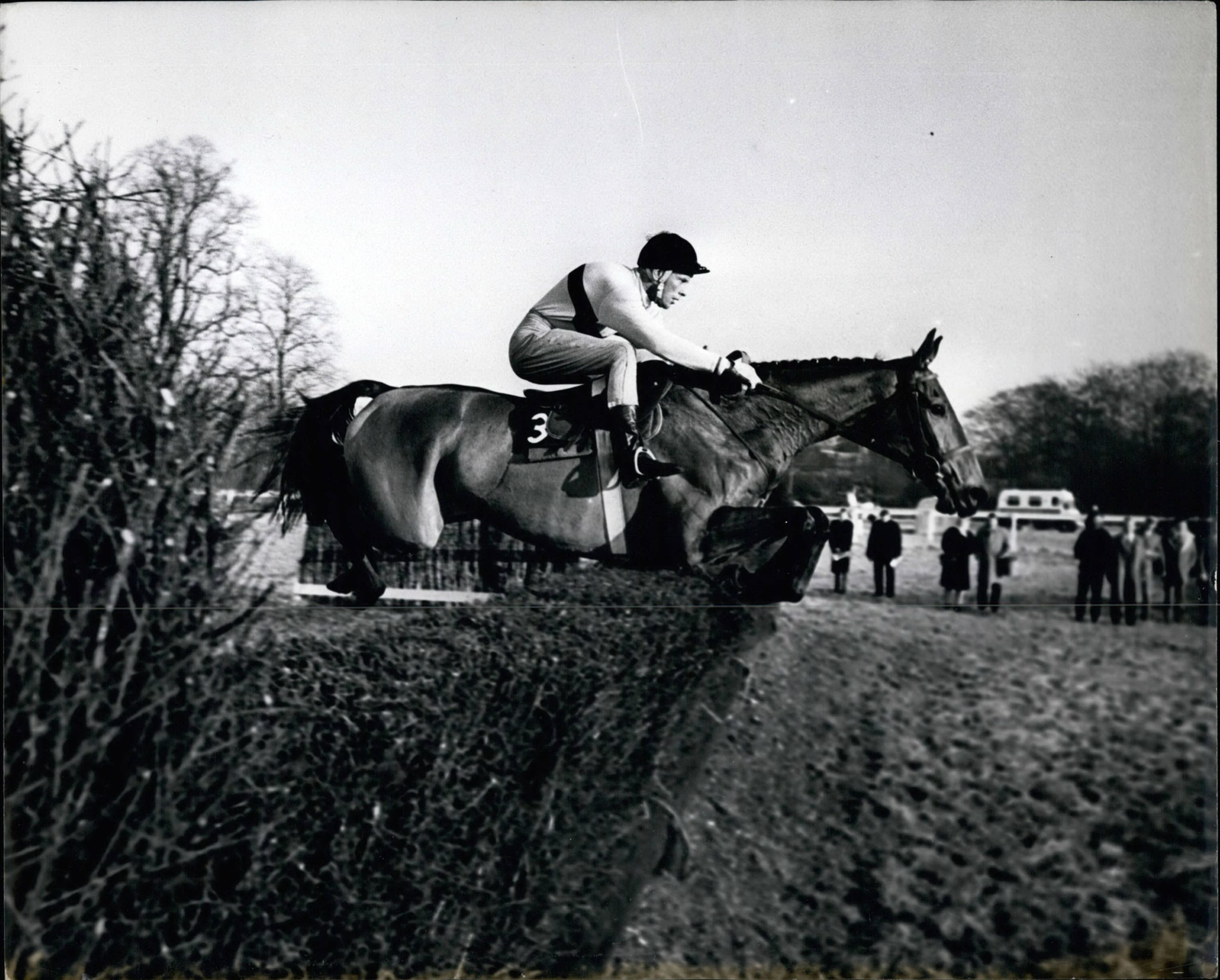The Best Jump Horses Of All Time - (A-M) - Great British Racing