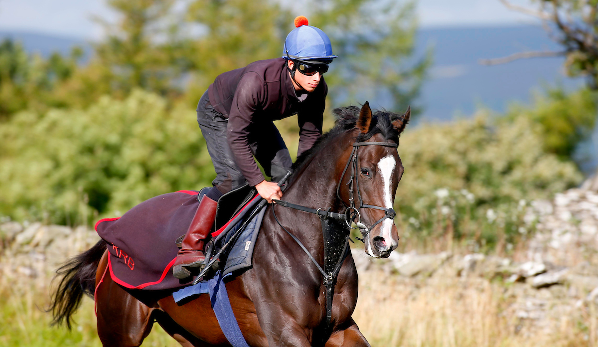 The Equine Fitness Plan – How racehorses get fit