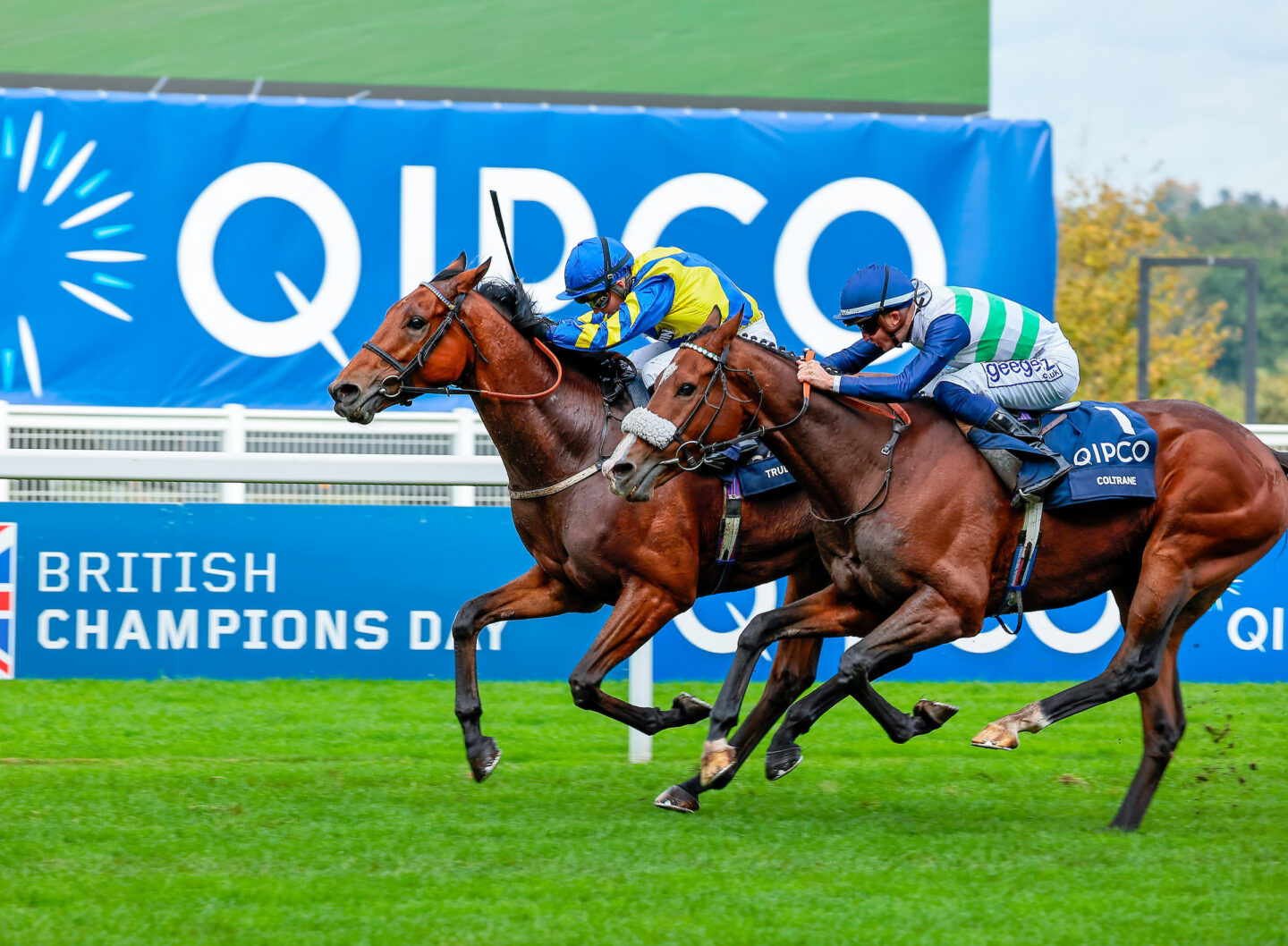 What's on this Week? Flat Classics at Newmarket - Great British Racing
