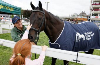Goldream meets fans ahead of National Racehorse Week