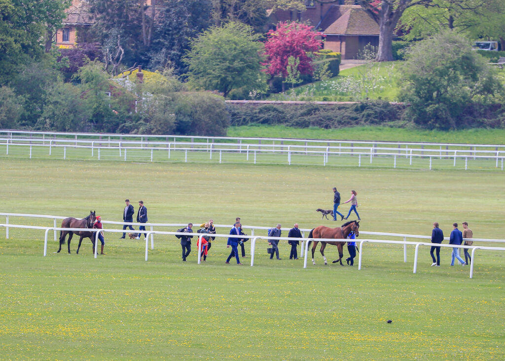 Runners for the first race walking across the course