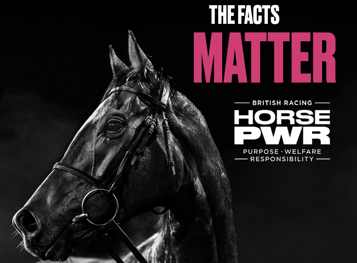 Horse PWR
