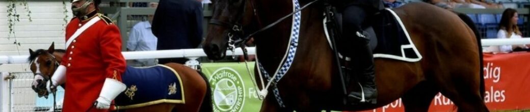 A policehorse walking the track with a shetland pony and kings guard
