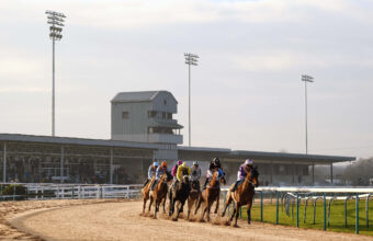 Southwell bend with new flood lights above the grandstand