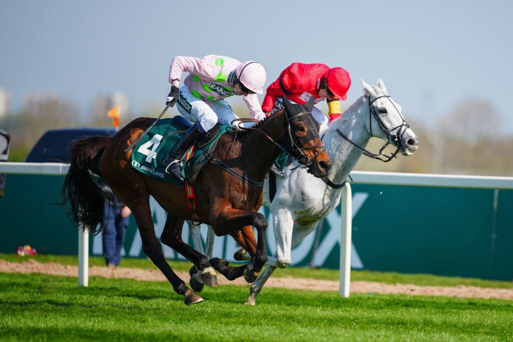Gaelic Warrior Wins The Brooklands Golden Miller Chronograph Bowl Steeple Chase, ahead of Grey Dawning