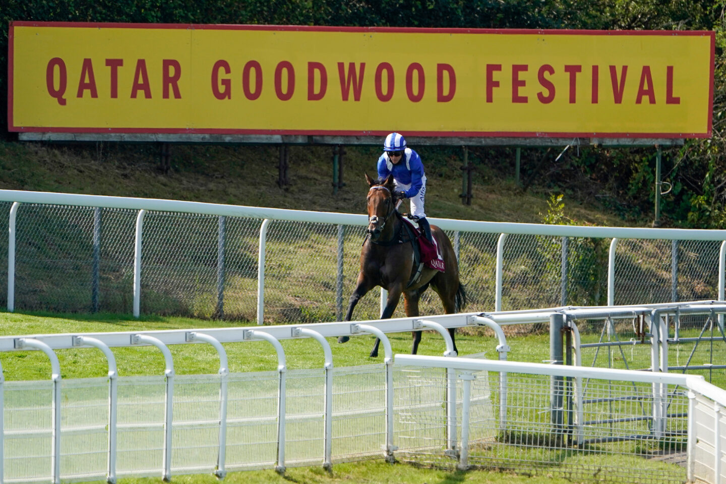 Bataash and Jim Crowley during the King George Qatar Stakes