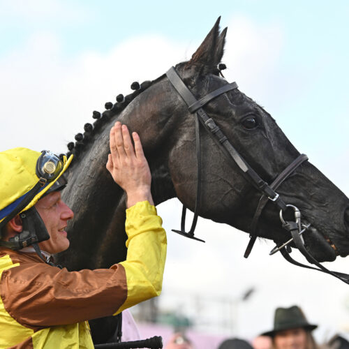 Galopin Des Champs and Paul Townend after winning the Chelteham Gold Cup