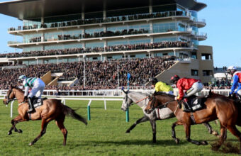 The field jumping in front of the grandstands at Cheltenham
