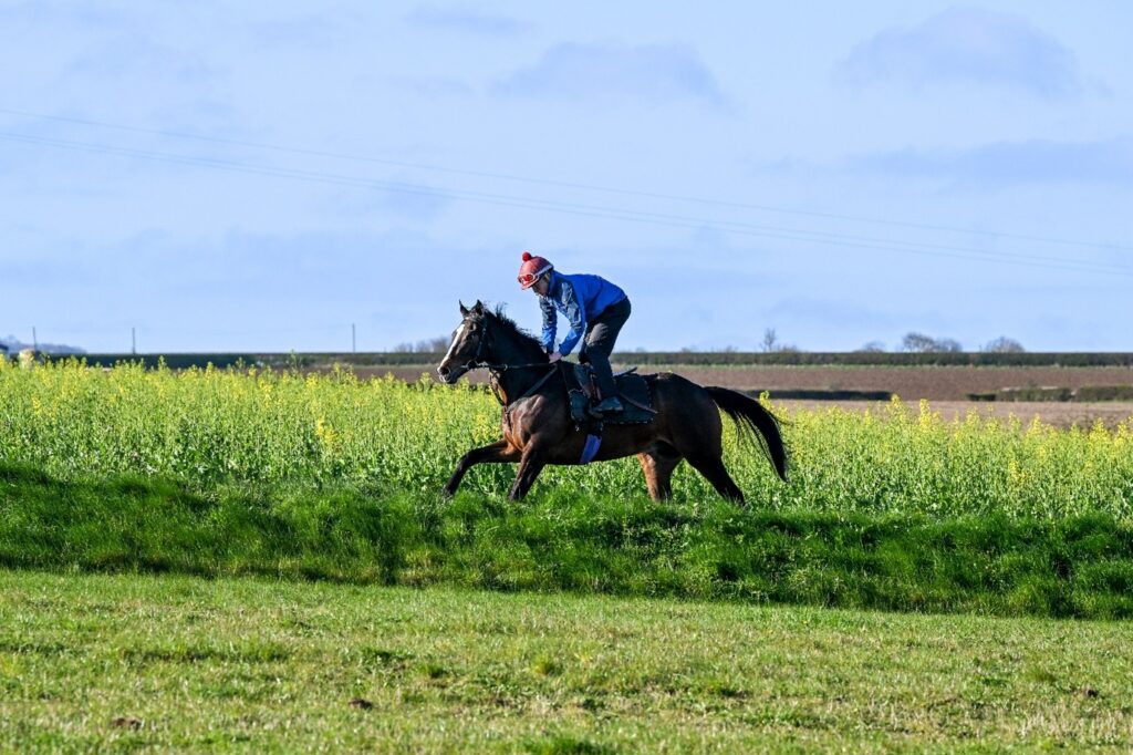 Pearl Secret 2yo up the gallops