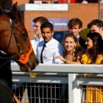 Horse Racing East Rutherford Find A Racecourse - Great British Racing