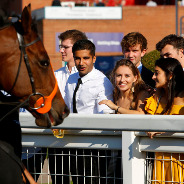 Family Days - Great British Racing