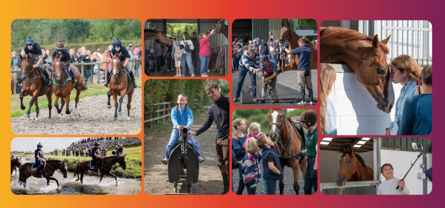 National Racehorse Week - Great British Racing
